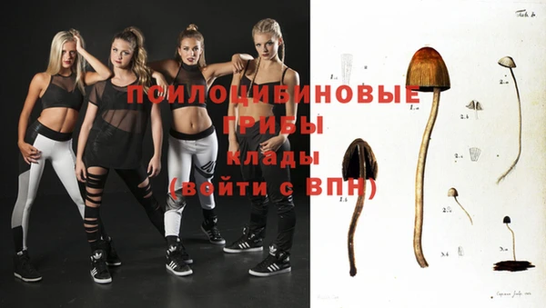 гидропоника Алзамай