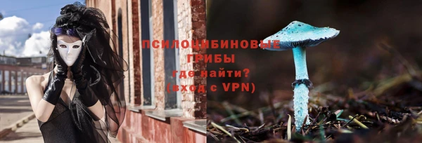 гидропоника Алзамай