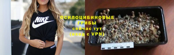 гидропоника Алзамай