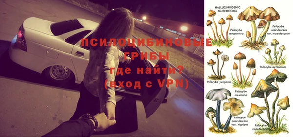 гашик Алексеевка