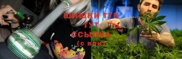 гидропоника Алзамай